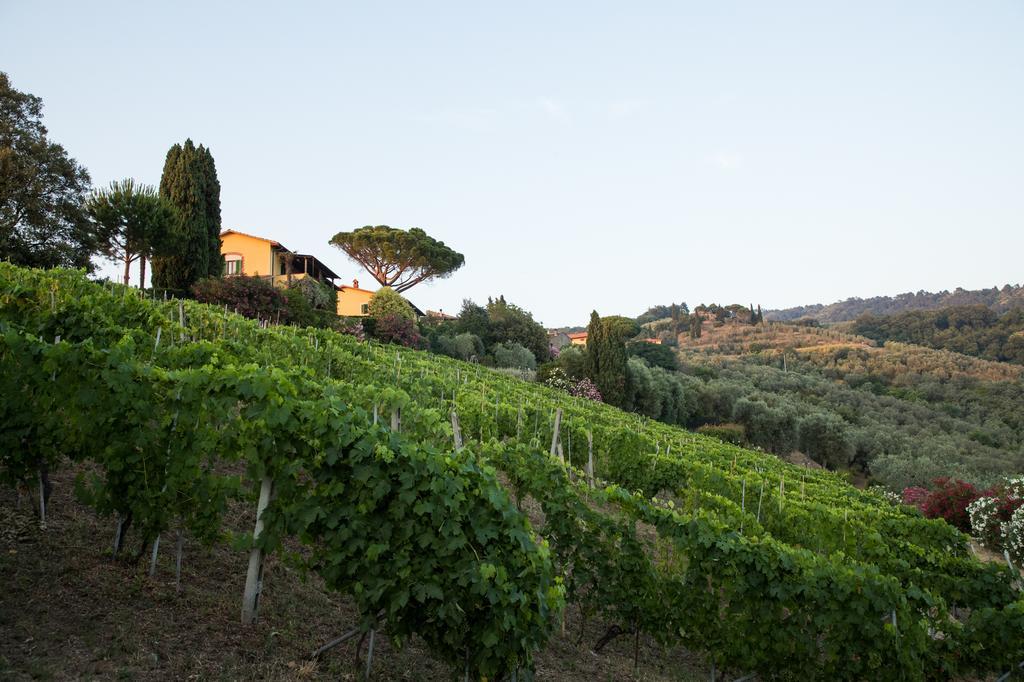 Casa Vacanze Casa Italia ランポレッキオ エクステリア 写真
