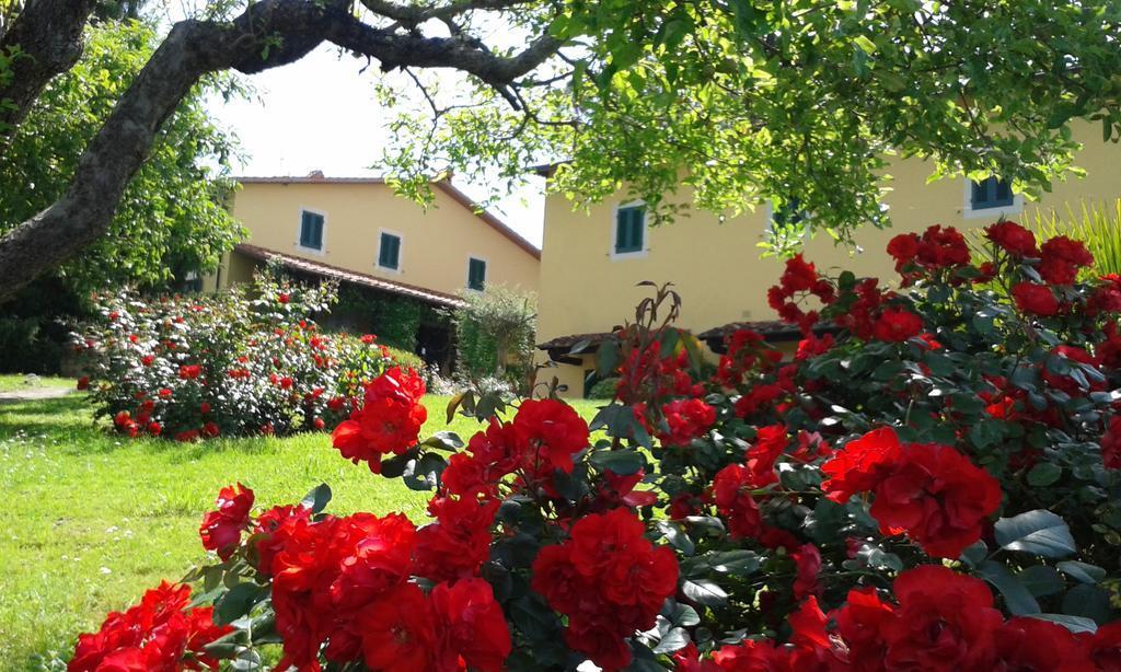 Casa Vacanze Casa Italia ランポレッキオ エクステリア 写真